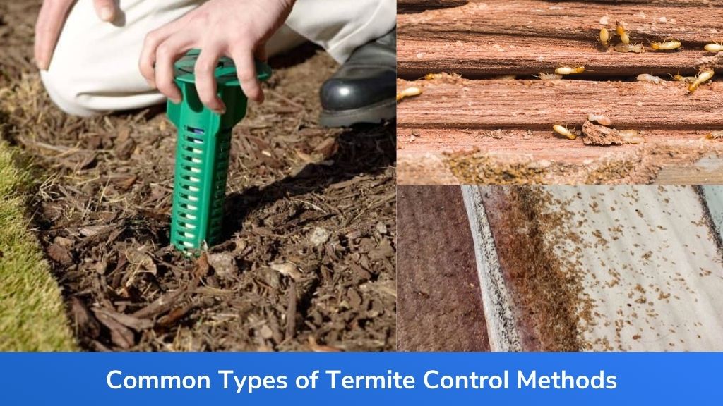 Common Types of Termite Control Methods