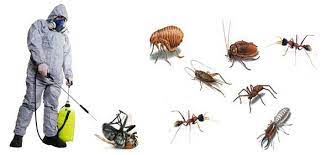 types of pest problems